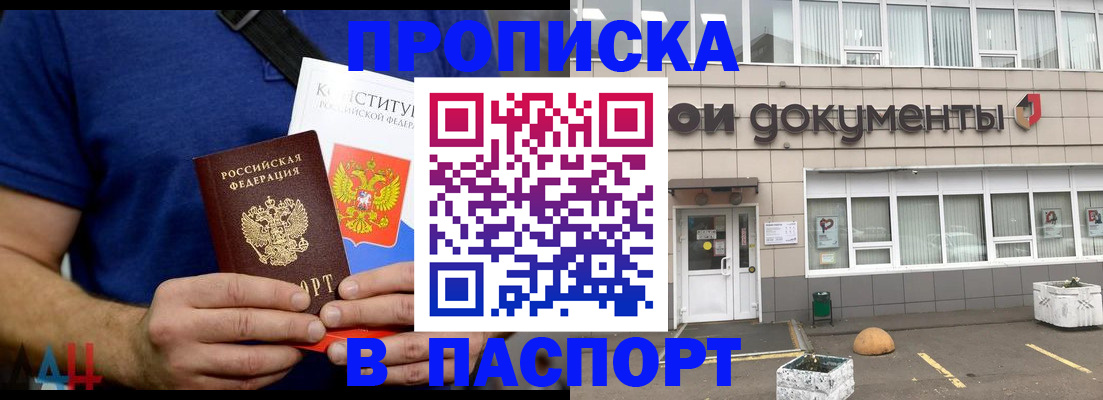 прописка паспорт в Павловске
